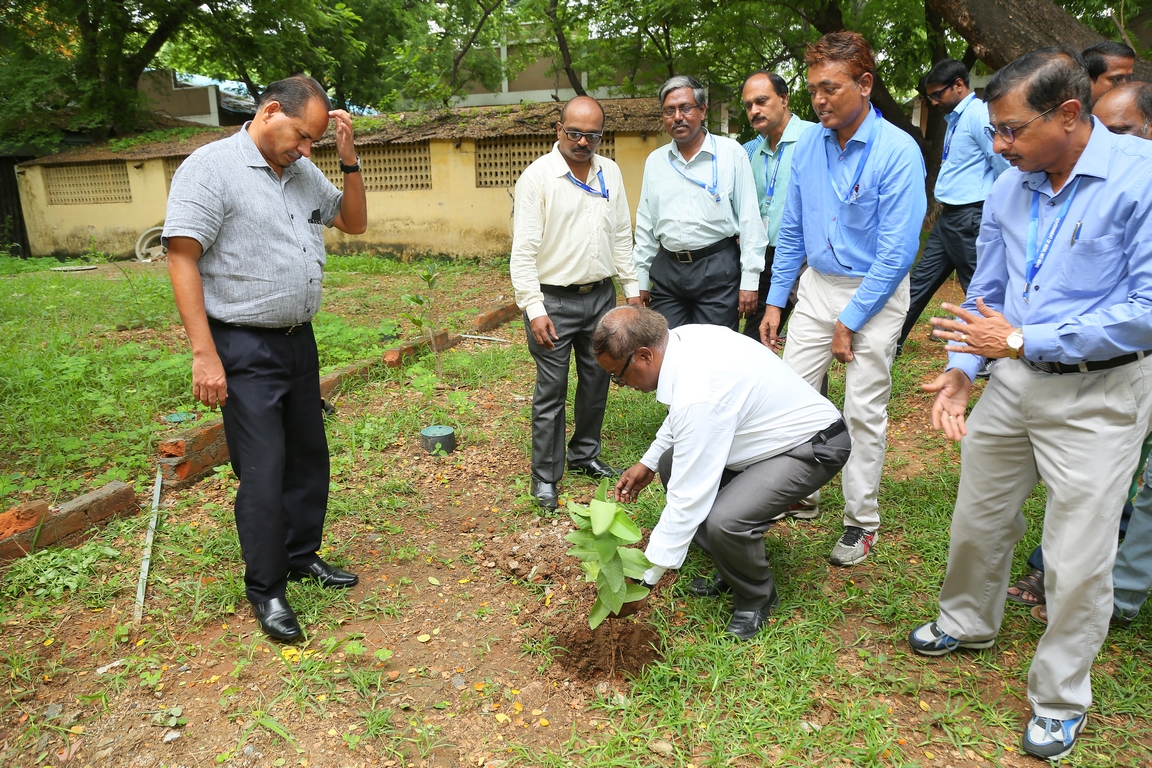 Resized JPEG graphic