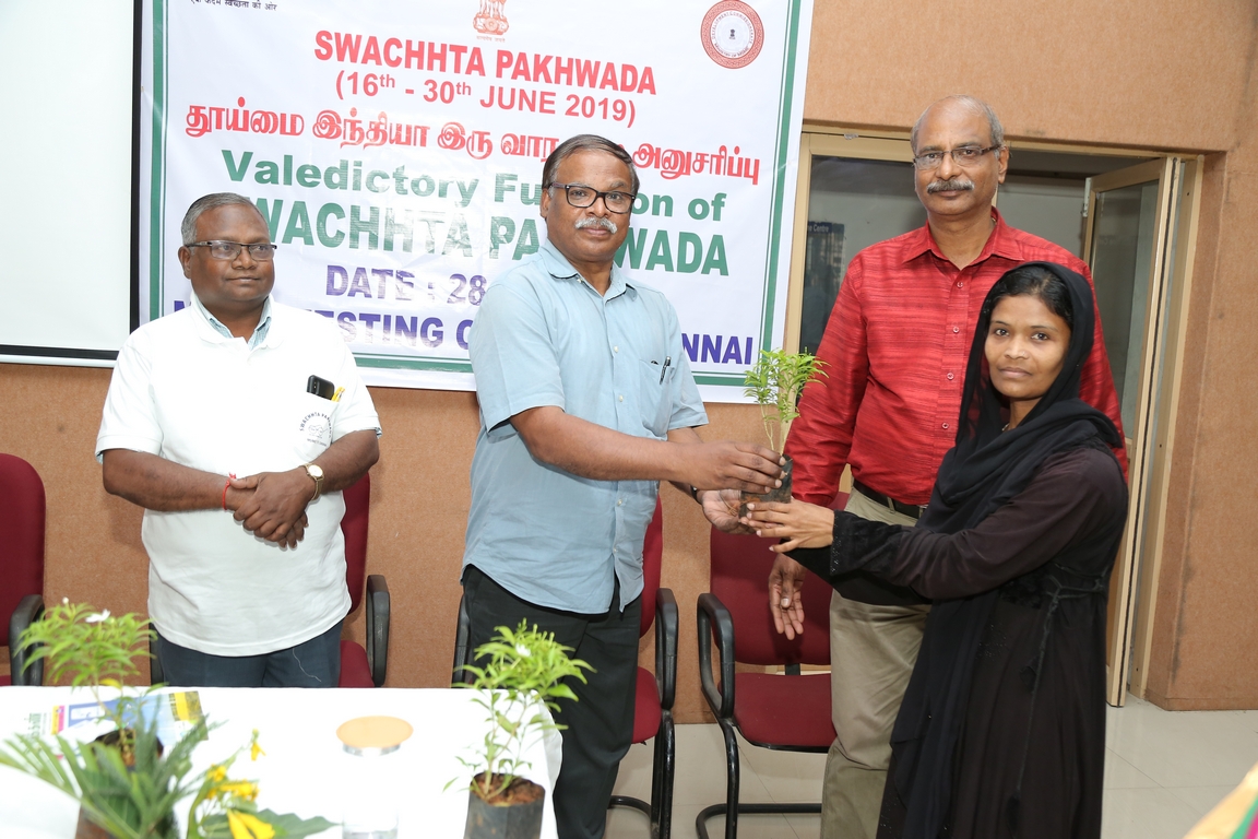 Resized JPEG graphic