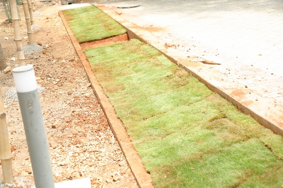 Resized JPEG graphic