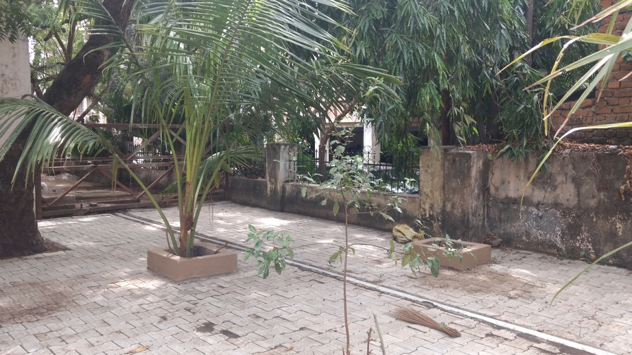 Resized JPEG graphic