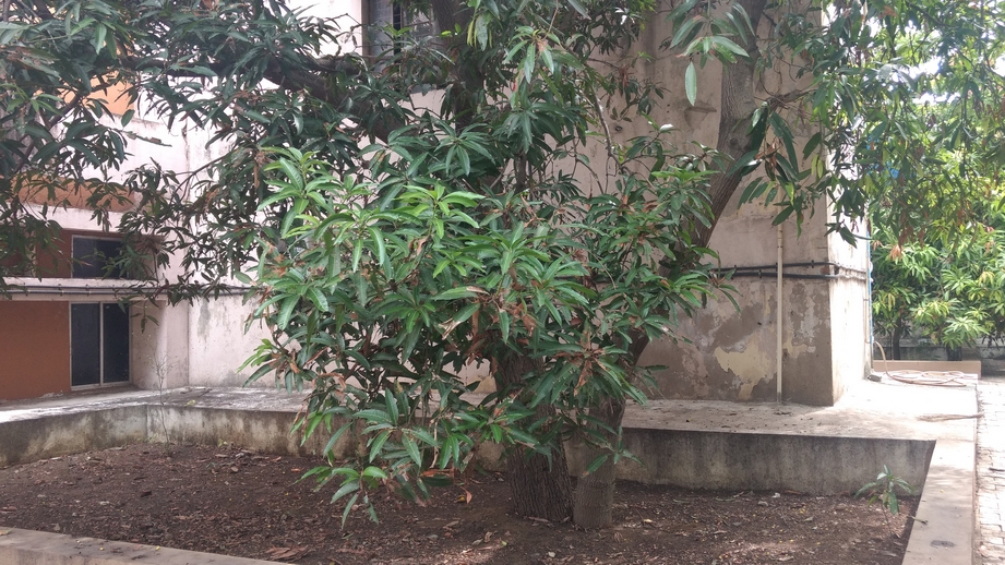 Resized JPEG graphic