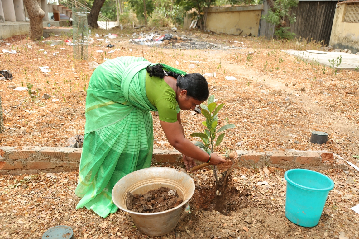 Resized JPEG graphic