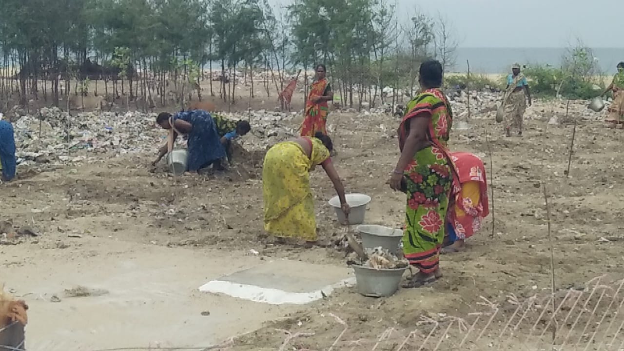 Resized JPEG graphic